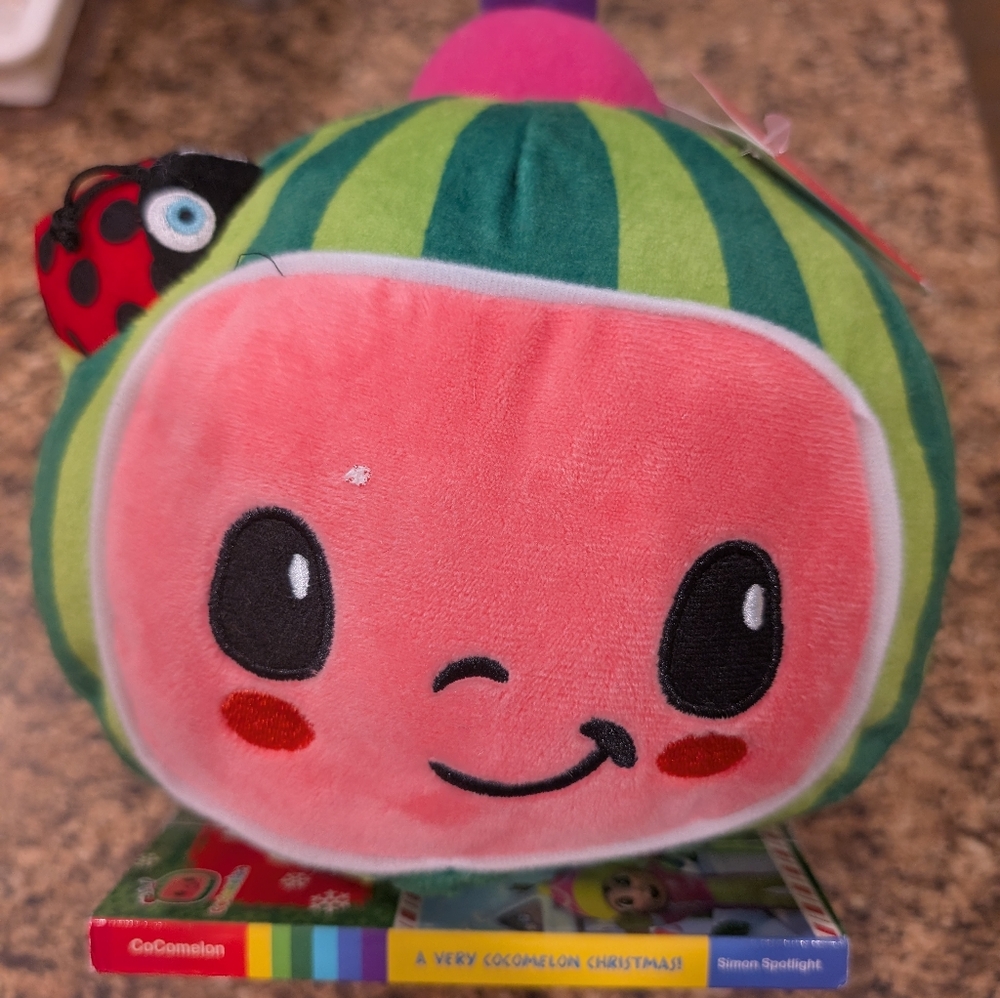 NWTWatermelon Plush Toy With Book
